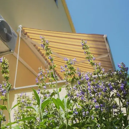 Apartment Porec Διαμέρισμα Πόρετς